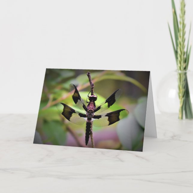 Dragonfly, kort (Framsida)