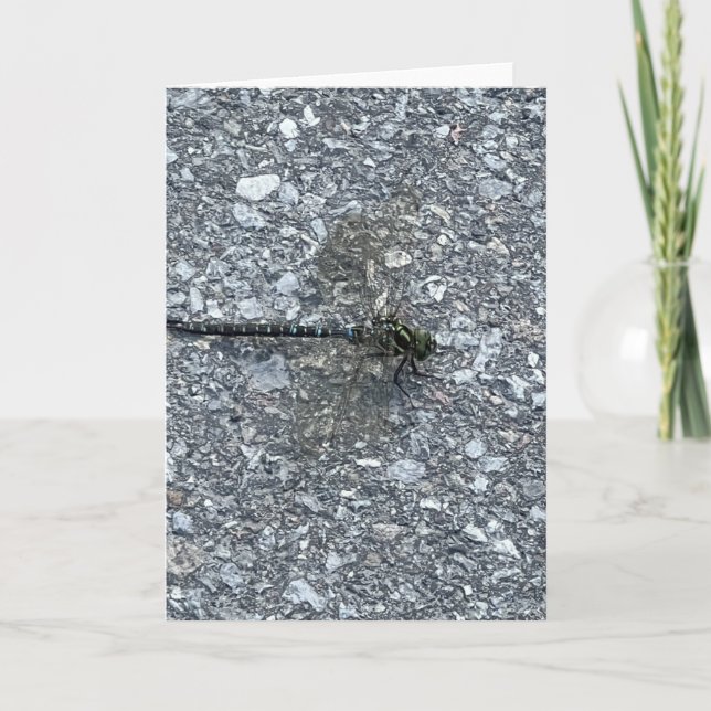 Dragonfly Kort (Framsida)