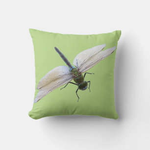 Dragonfly Kudde