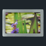 Dragonfly lotus och lila Blommor<br><div class="desc">En blå Dragonfly på en Lila blomma.Foto taget av Sandy Closs på blommorna i Sjö Arrowhad. drake,  fluga,  flugor,  drakflugor,  drakflugor,  flygande,  drakar,  insekt,  insekter,  trädgård,  natur,  tillväxt,  växter,  drakflugor och damselfetter.</div>