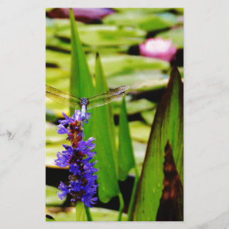 Dragonfly lotus och lila Blommor Brevpapper