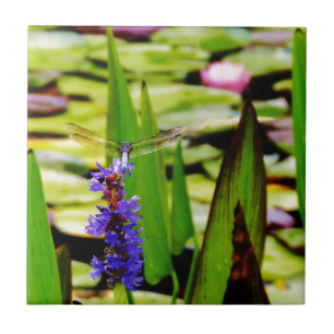 Dragonfly lotus och lila Blommor Kakelplatta