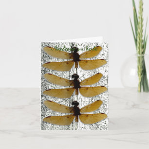 DRAGONFLY LÖV PHOTO NOTE-KORT ANTECKNINGSKORT