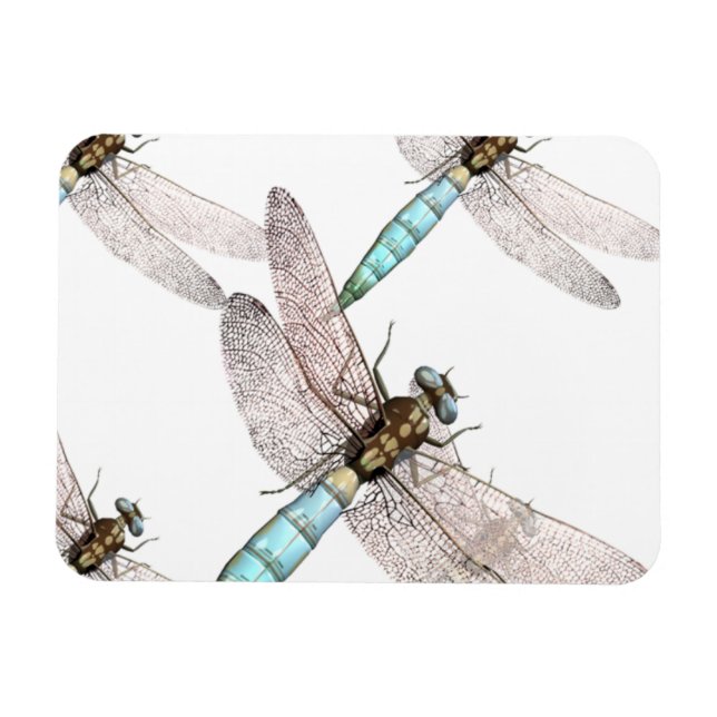 Dragonfly Luft Force on White Magnet (Horisontell)