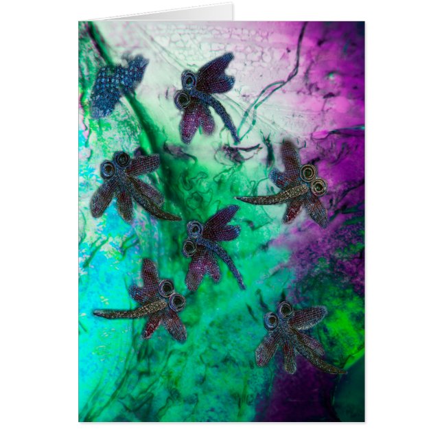 Dragonfly Magic Hälsningskort (Framsidan)