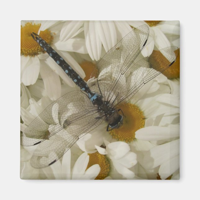 Dragonfly Magnet (Framsidan)