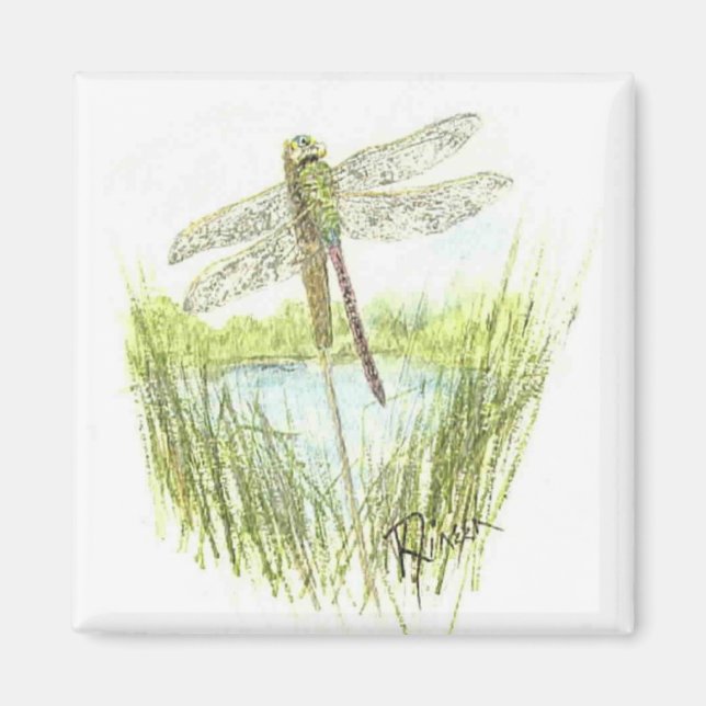 Dragonfly magnet (Framsidan)