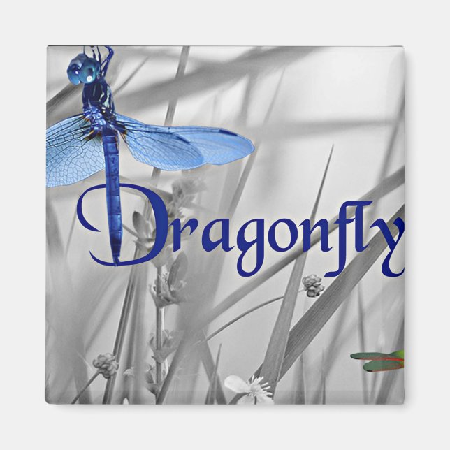 Dragonfly Magnet (Framsidan)