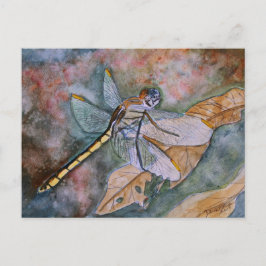 dragonfly-målning vykort