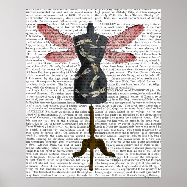 Dragonfly Mannequin Poster (Framsidan)
