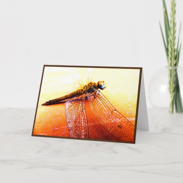 Dragonfly-mappat gratulationskort tack kort (Framsida)