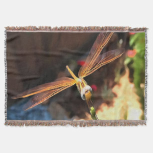 Dragonfly med Sollight Gilded Vingar Filt