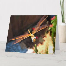 Dragonfly med Sollight Gilded Vingar Tack Kort