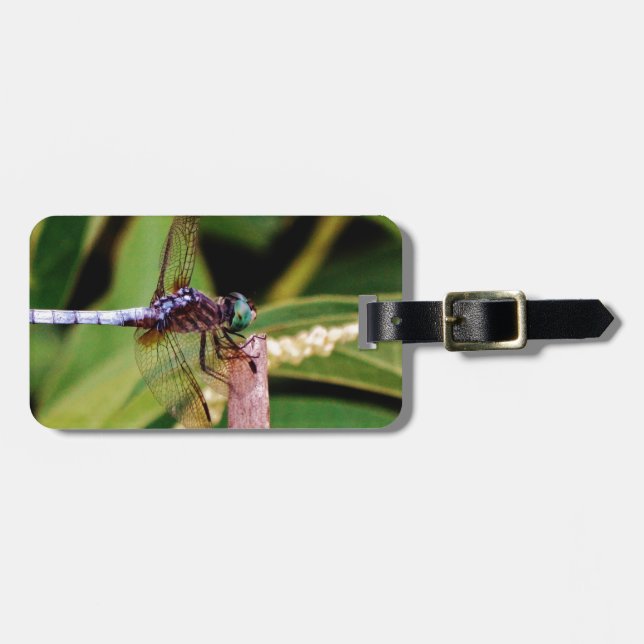 Dragonfly med vita blommor bagagebricka (Horisontell Framsida)