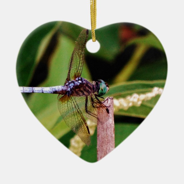 Dragonfly med vita blommor julgransprydnad keramik (Framsidan)