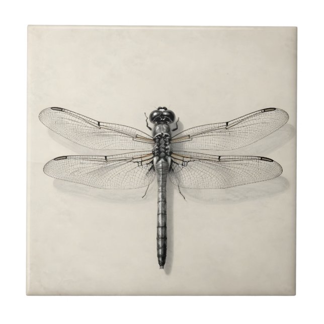 Dragonfly Metallic Detailed Vintage Entomological  Kakelplatta (Framsidan)