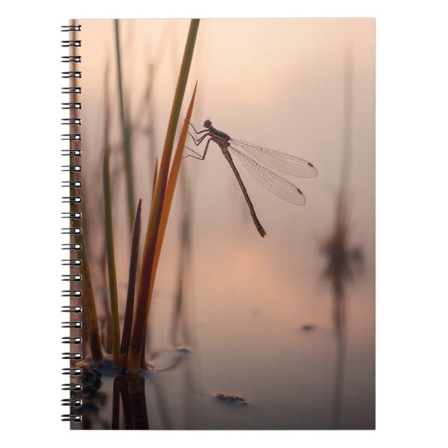 Dragonfly Misty Dawn Notebook Anteckningsbok (Framsidan)