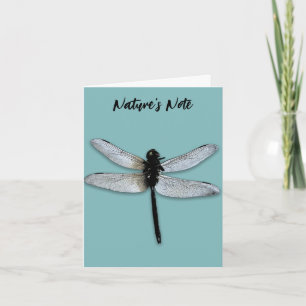 DRAGONFLY MODERN PHOTO NOTE CARD ANTECKNINGSKORT