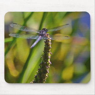 Dragonfly Mousepad Musmatta