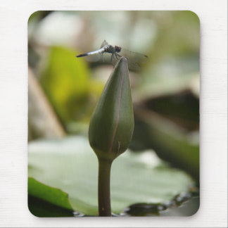 Dragonfly Mousepad Musmatta