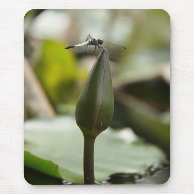 Dragonfly Mousepad Musmatta (Framsidan)