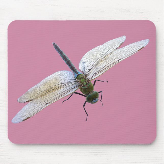 Dragonfly Musmatta (Framsidan)