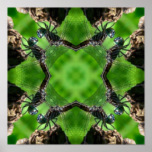 Dragonfly Nature Kaleidoscope Art Poster