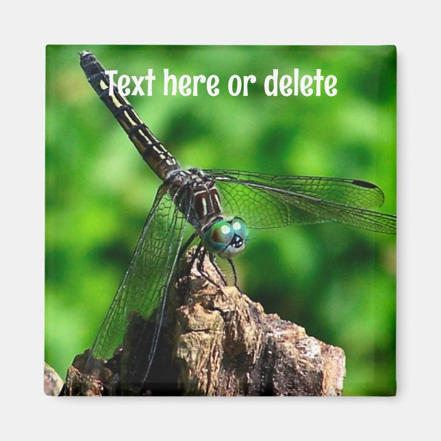 Dragonfly Nature Personlig Magnet (Framsidan)