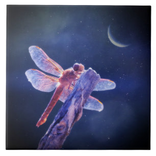 Dragonfly och Crescent Måne Mystical Kakelplatta