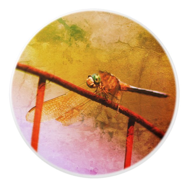 Dragonfly på Abstrakt Grunge för trådstängsel Knopp (Framsidan)