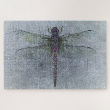 Dragonfly på blå bakgrund