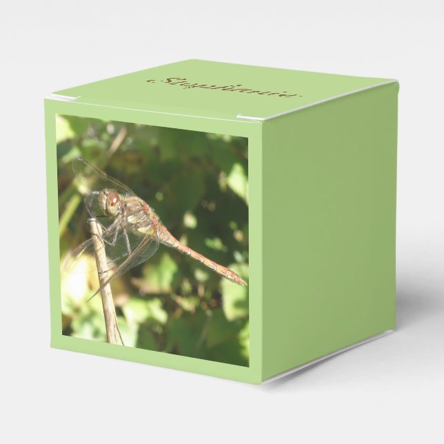 Dragonfly på en tuggruta presentaskar (Framsidan Sidan)