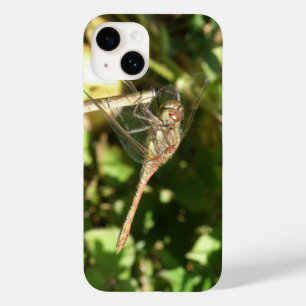 Dragonfly på en Twig