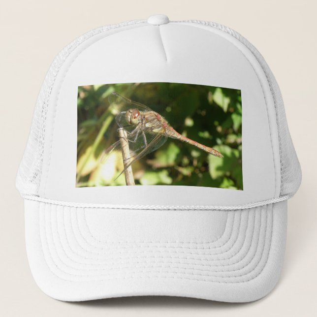 Dragonfly på en Twig Hat Truckerkeps (Framsida)