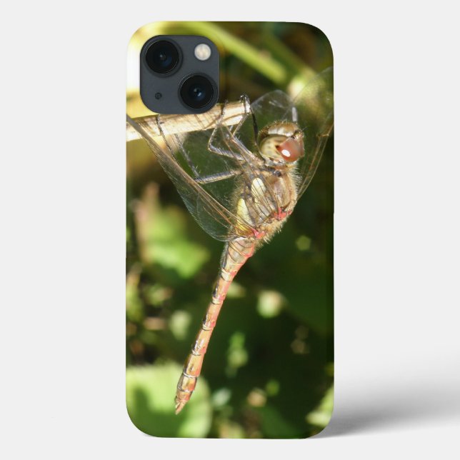 Dragonfly på en Twig iPad-väska (Baksida)