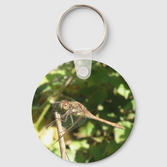 Dragonfly på en Twig Keychain Nyckelring (Framsida)