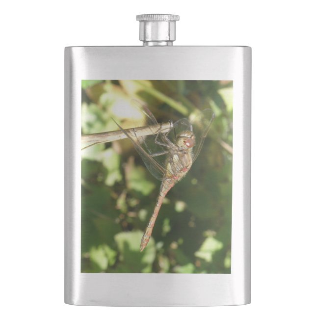 Dragonfly på en wig-kolv fickplunta (Framsidan)