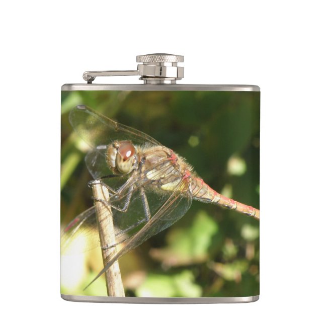 Dragonfly på en wig-kolv fickplunta (Framsidan)