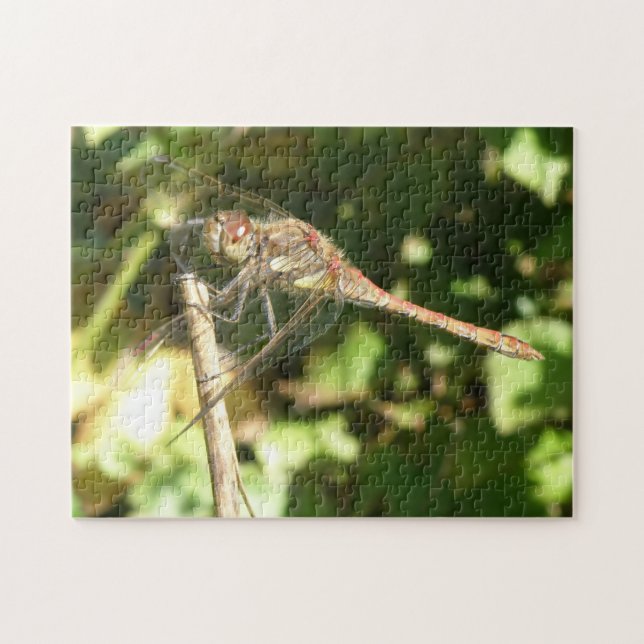 Dragonfly på ett dragpussel pussel (Horisontell)