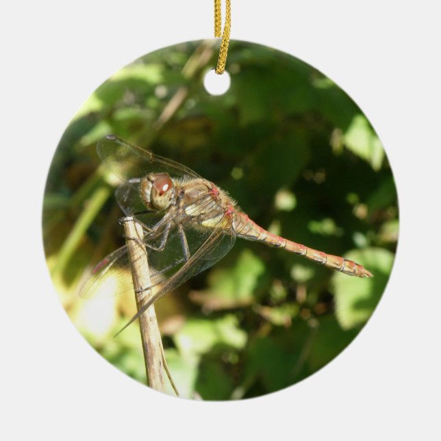 Dragonfly på ett twig-ornament julgransprydnad keramik (Framsidan)