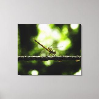 Dragonfly på grönt - arbetsyta med omslutning canvastryck