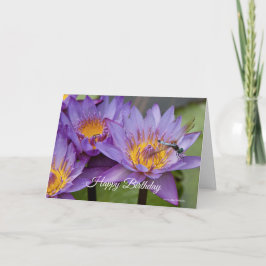 Dragonfly på Lily Birthday Card Kort