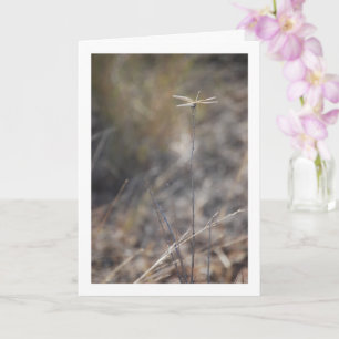 Dragonfly på Stalk Porträtt Kort