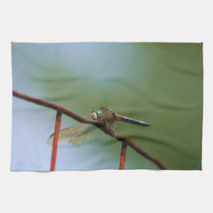 Dragonfly på trådstängning kökshandduk