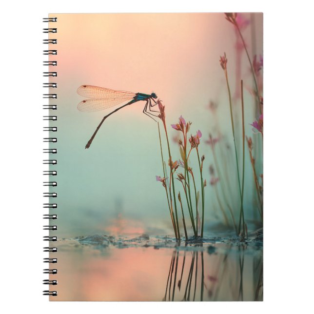 Dragonfly Pastel Reflection Notebook Anteckningsbok (Framsidan)