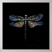 Dragonfly Pen Teckning Poster
