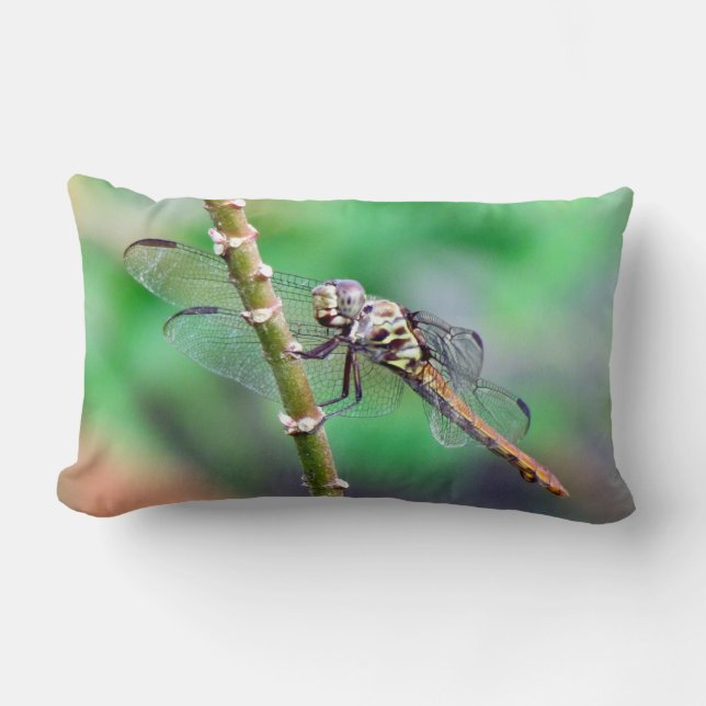 Dragonfly Pillow Lumbarkudde (Framsida)