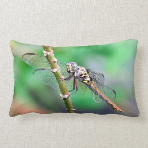 Dragonfly Pillow Lumbarkudde