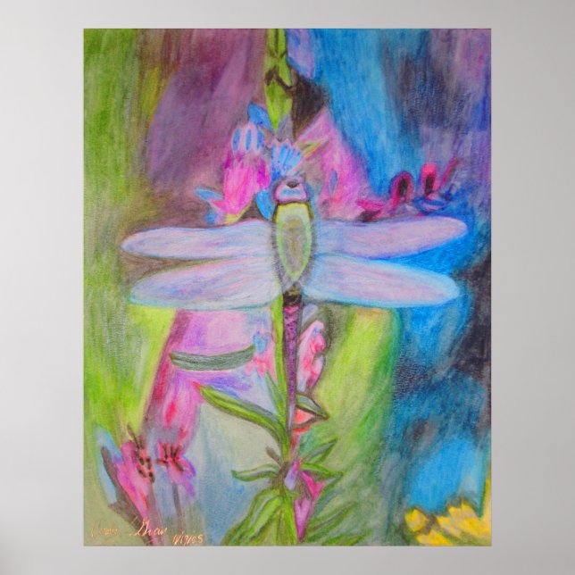 Dragonfly Poster (Framsidan)