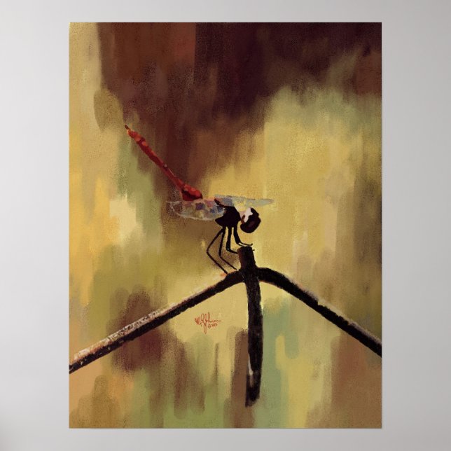 Dragonfly Poster (Framsidan)